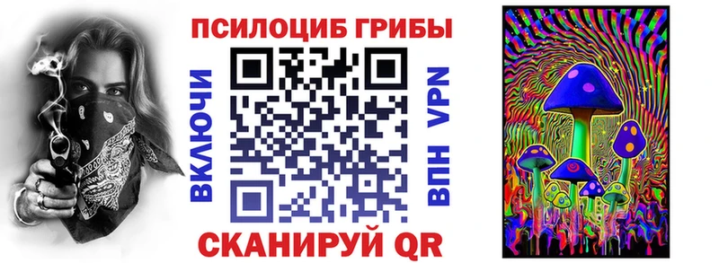 Купить где  Петрозаводск  Псилоцибиновые грибы Psilocybine cubensis 
